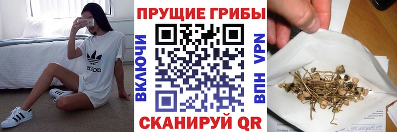 Галлюциногенные грибы MAGIC MUSHROOMS  как найти закладки  Среднеколымск 